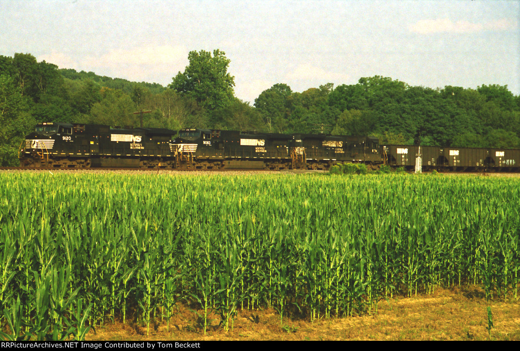 Coal empties